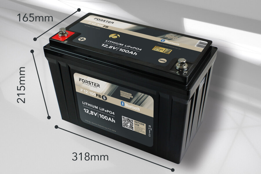 12,8V Lithium 100Ah LiFePO4 Standard Batterie | 100A-BMS | Smart Bluetooth | 1280Wh