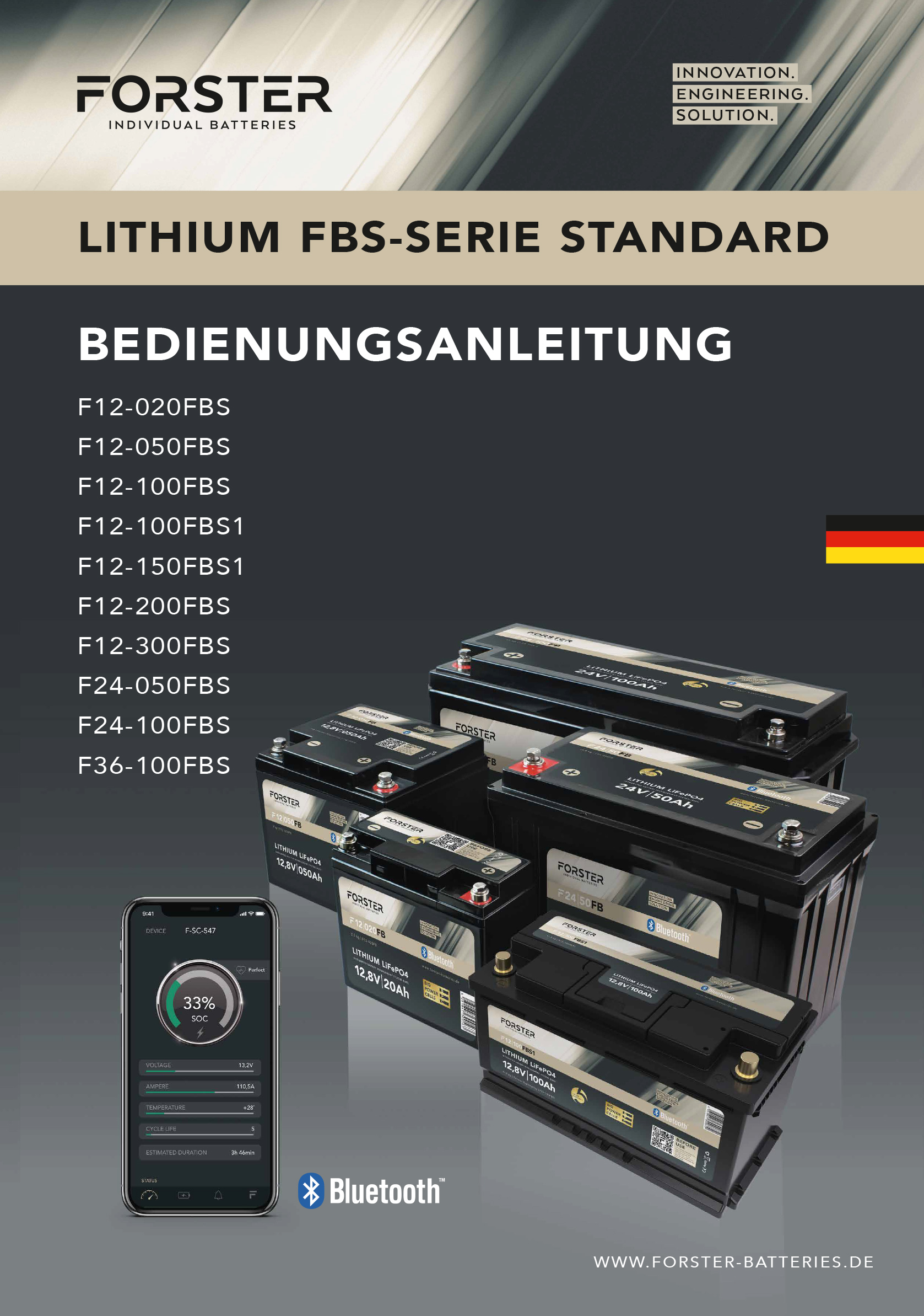 12,8V Lithium 100Ah LiFePO4 Standard Batterie, 100A-BMS